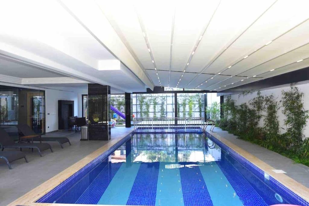 3-1 Duplex 500 Meters To Cleopatra *